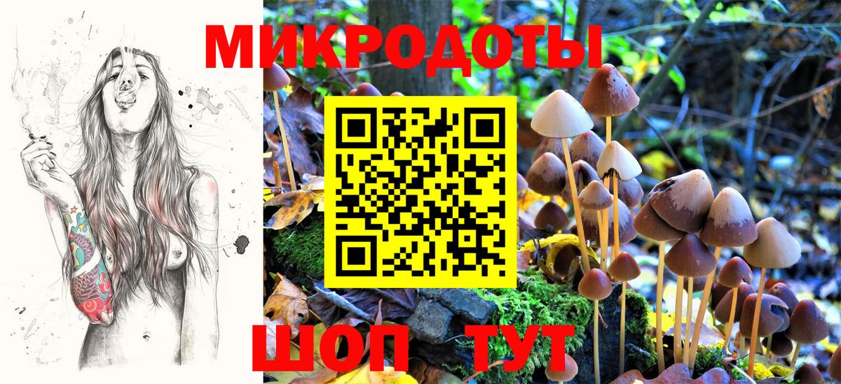 Галлюциногенные грибы мухоморы  Вход с VPN  Татарск 